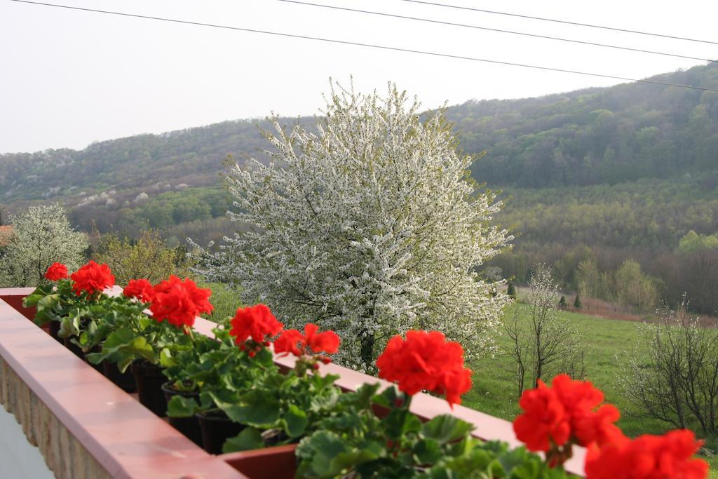 Palos Resort Zalacsány Buitenkant foto